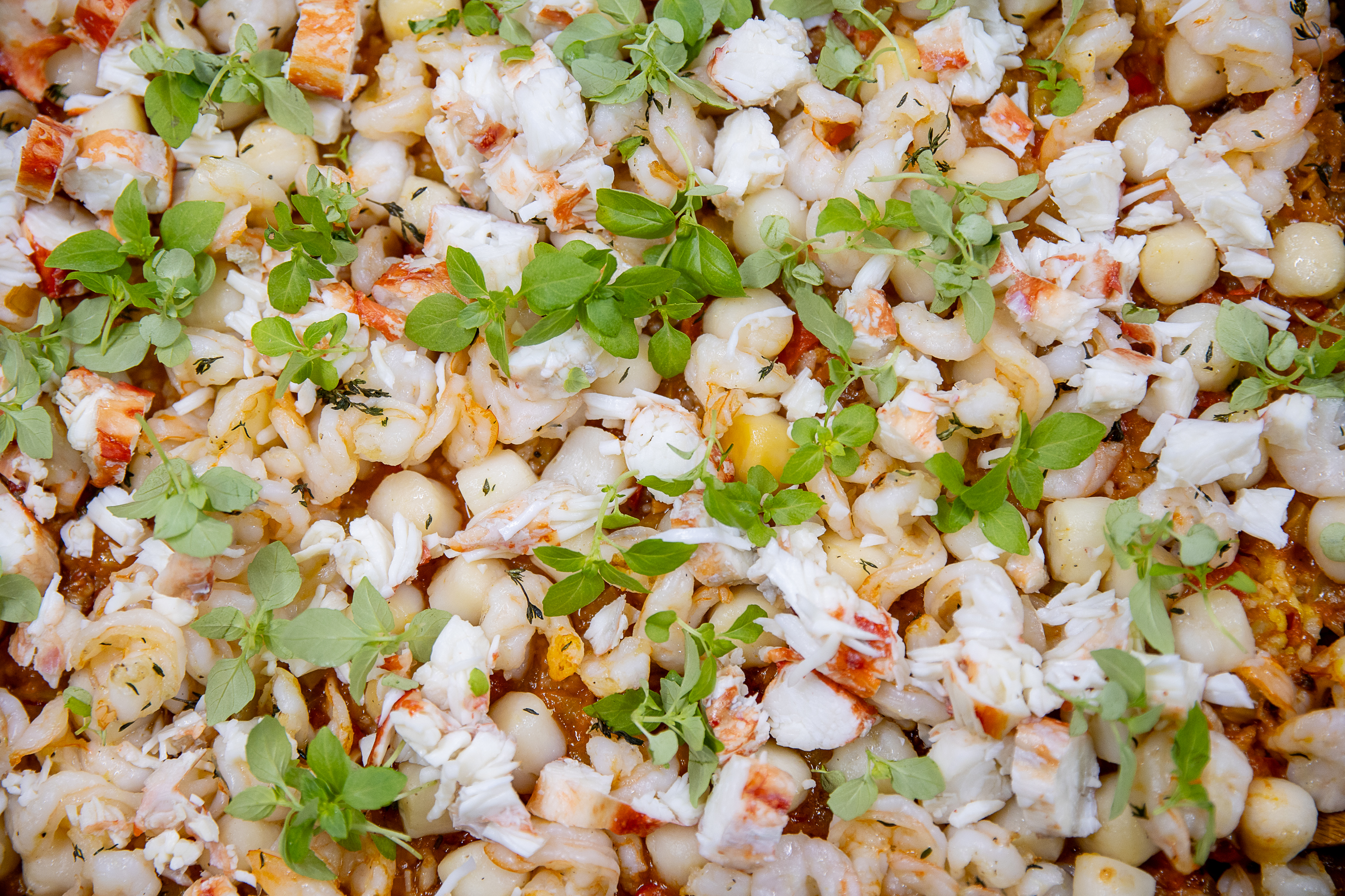 Презентация новой техники АSKO