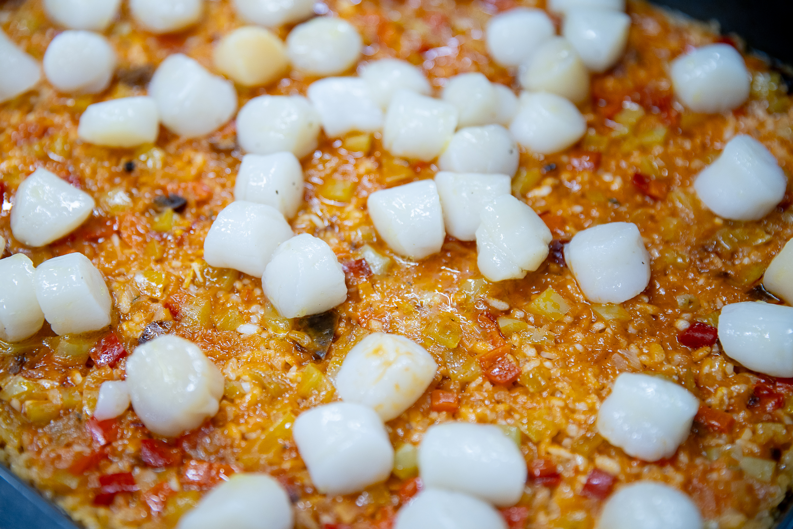 Презентация новой техники АSKO