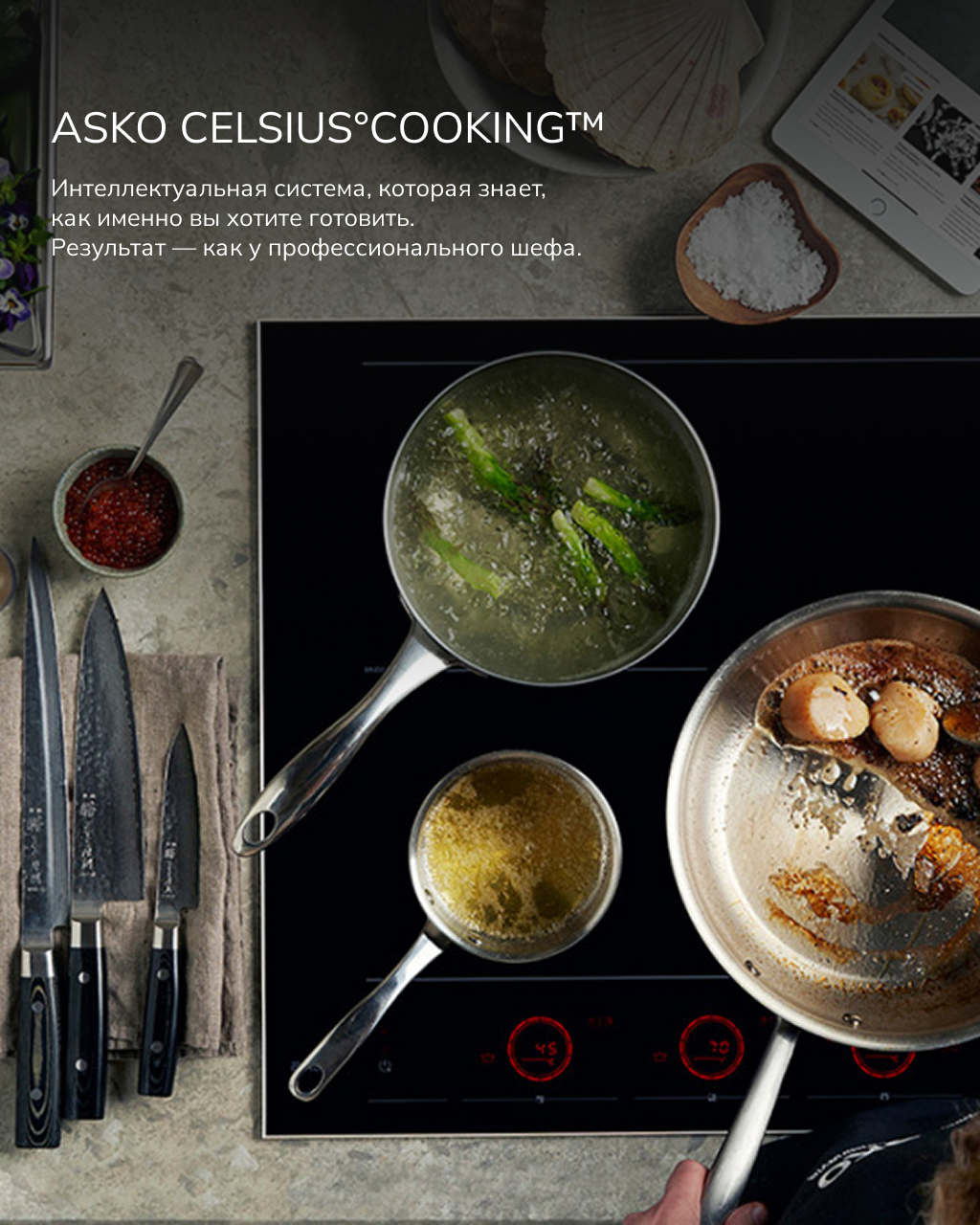 Меню Celsius°Cooking™ от ASKO — кулинарная точность до одного градуса